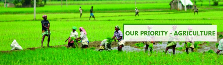 Puduvai Bharathiar Grama Bank